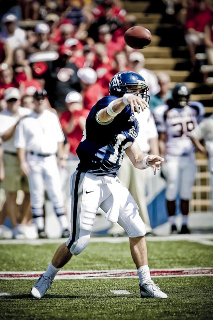 加大执法力 加大执法力