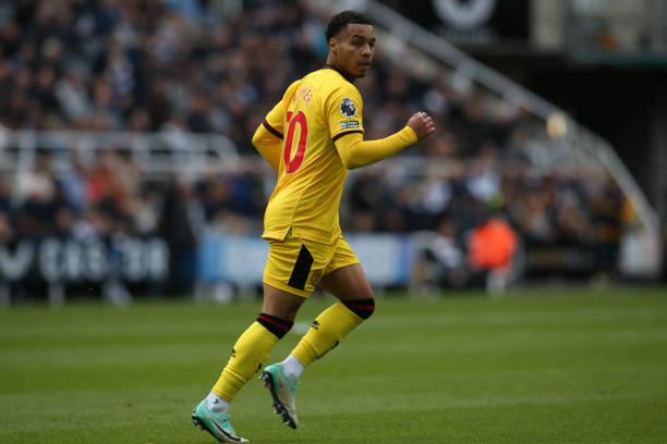 的实践指导 的实践指导